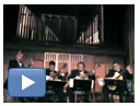 Tempus Fugit Video